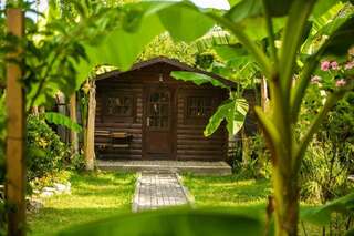 Комплексы для отдыха с коттеджами/бунгало Cottages in Gagra Гагра Коттедж с 1 спальней-11